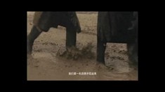 預(yù)告片2