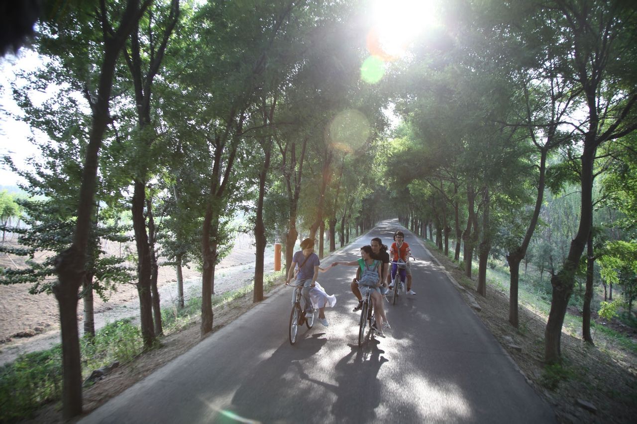 http://www.119127.cn/pics/default/download/24cb4bbdae842c48fb170a353e9c69a6.jpg