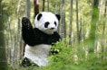 http://www.119127.cn/pics/default/download/2509aa3812dd510aff0e1394eb3c7ba2.jpg
