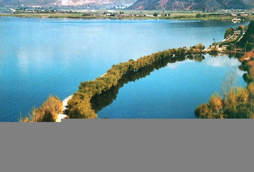 http://www.119127.cn/pics/default/download/25fd6359ad8eae8d2cddeaa127985948.jpg