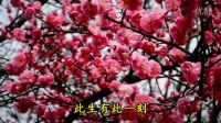 當(dāng)雪花愛(ài)上梅花
