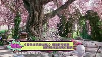 《愛麗絲2》德普胖安妮美 拔群視效難救稀爛劇情