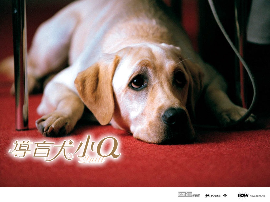 http://www.119127.cn/pics/default/download/26c9fe1bde75b51c71a528329de24f08.jpg