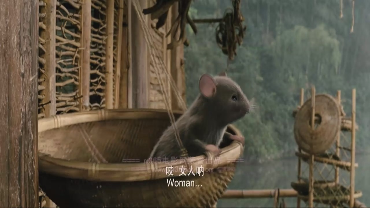 http://www.119127.cn/pics/default/download/2acd4c1903231e81021b29524024983a.jpg