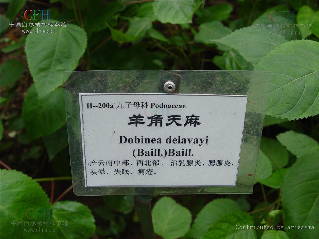 http://www.119127.cn/pics/default/download/2ae044308809212c8ee899637ecf74d1.jpg