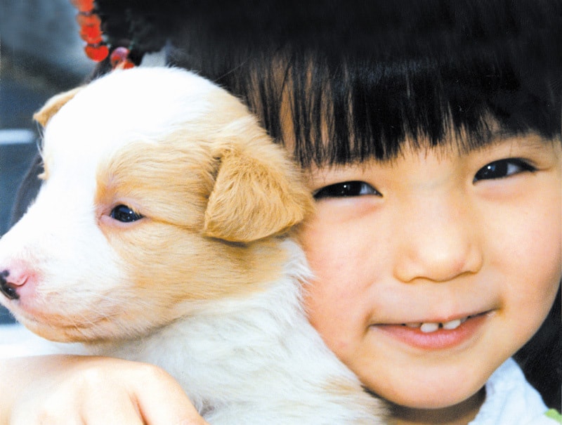 http://www.119127.cn/pics/default/download/2cabcb568e5ec8679b292ec893e0e580.jpg