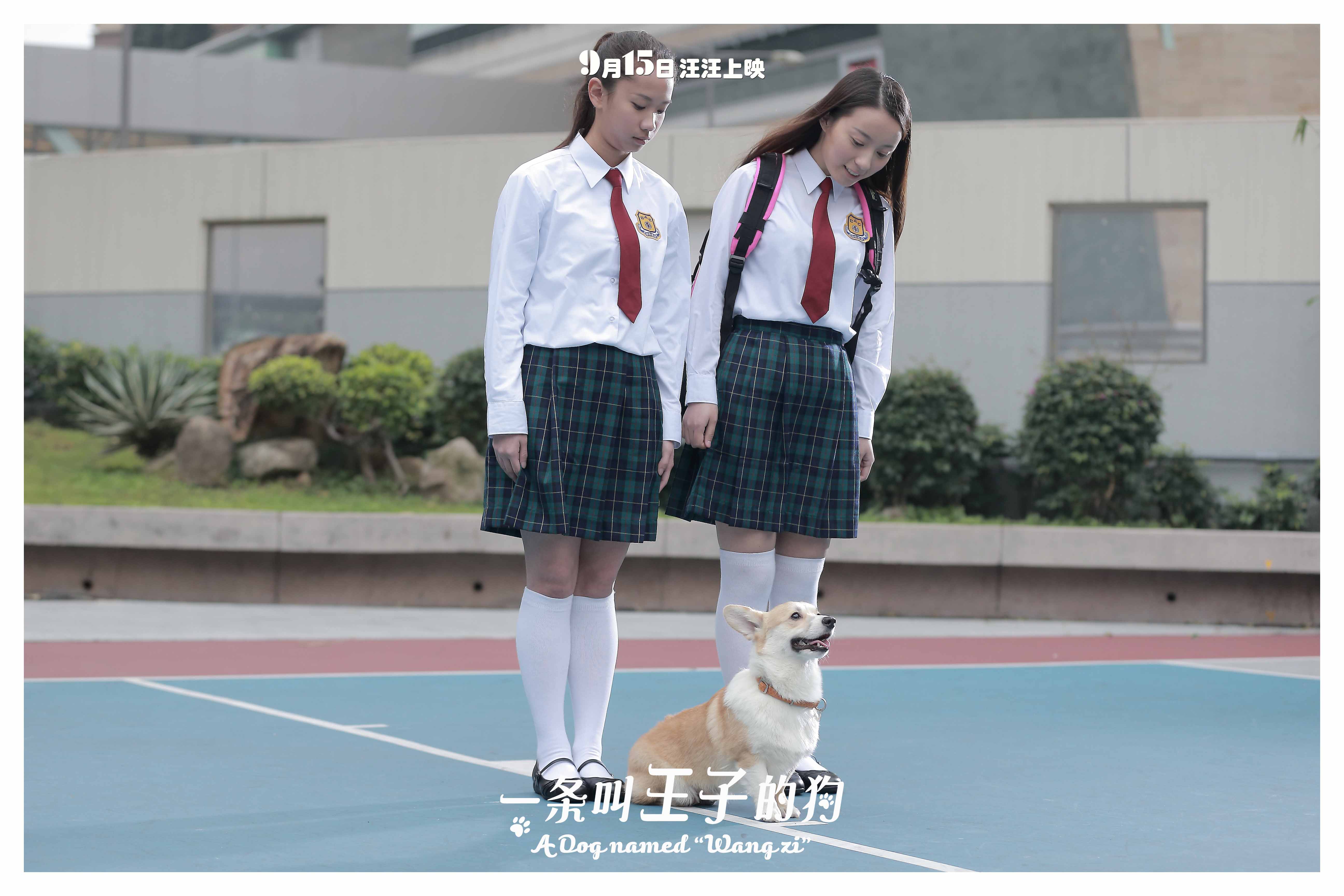 http://www.119127.cn/pics/default/download/2d13894e63534fe7dda10af801ac2a0d.jpg
