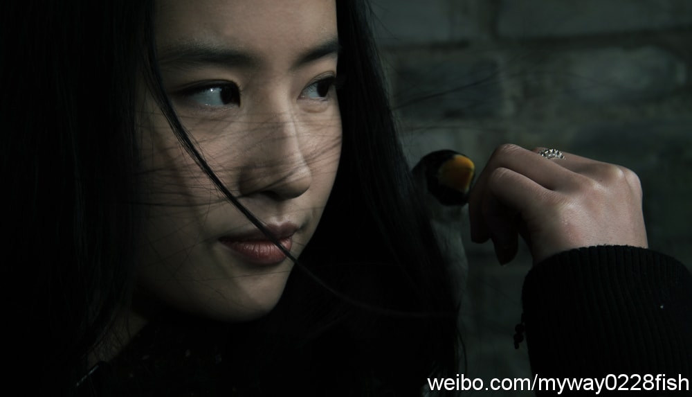 http://www.119127.cn/pics/default/download/2d4f38e64da3401b37faf0533b41400d.jpg