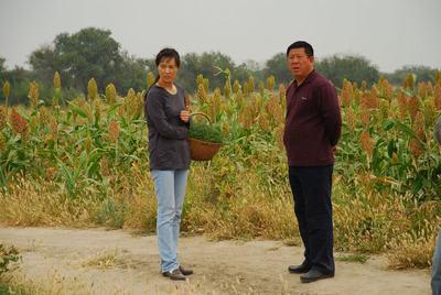 http://www.119127.cn/pics/default/download/2f0a744ab58a480799309b9fc46a2eae.jpg