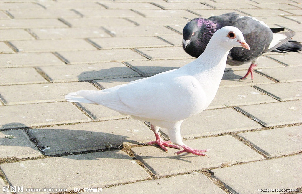 http://www.119127.cn/pics/default/download/2f71160b557cb3ebe57516495b8b533d.jpg
