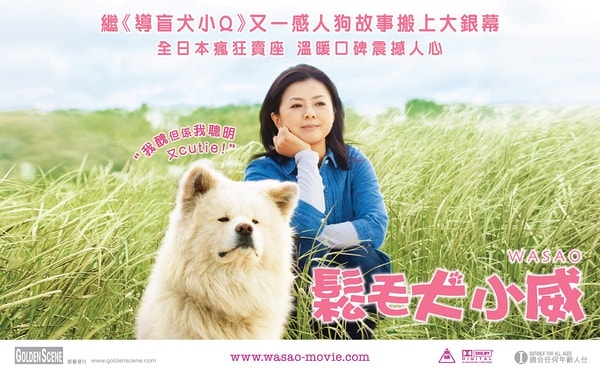 http://www.119127.cn/pics/default/download/30ea3516bea72701a15bc37d6c10c037.jpg