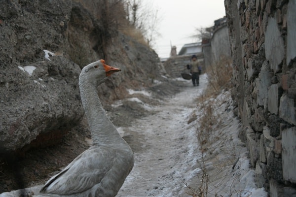 http://www.119127.cn/pics/default/download/3370c37c50ee7dfada85b92b779b0992.jpg