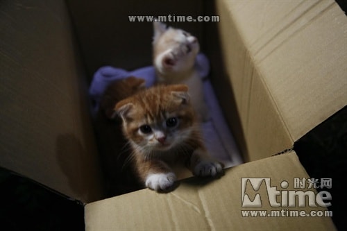 http://www.119127.cn/pics/default/download/367a96607949e9265e8bb643b910cc39.jpg