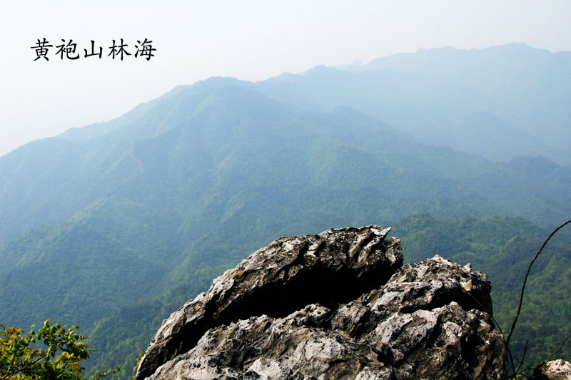 http://www.119127.cn/pics/default/download/37f790e0f3e941e8b9b4c300989aa5ab.jpg