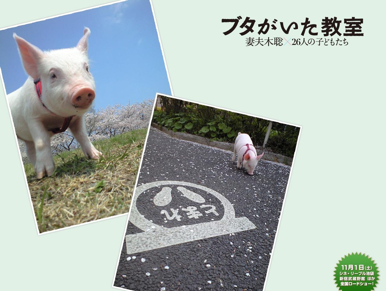 http://www.119127.cn/pics/default/download/3857fd55e2ee1eaa5ec24b012028a316.jpg