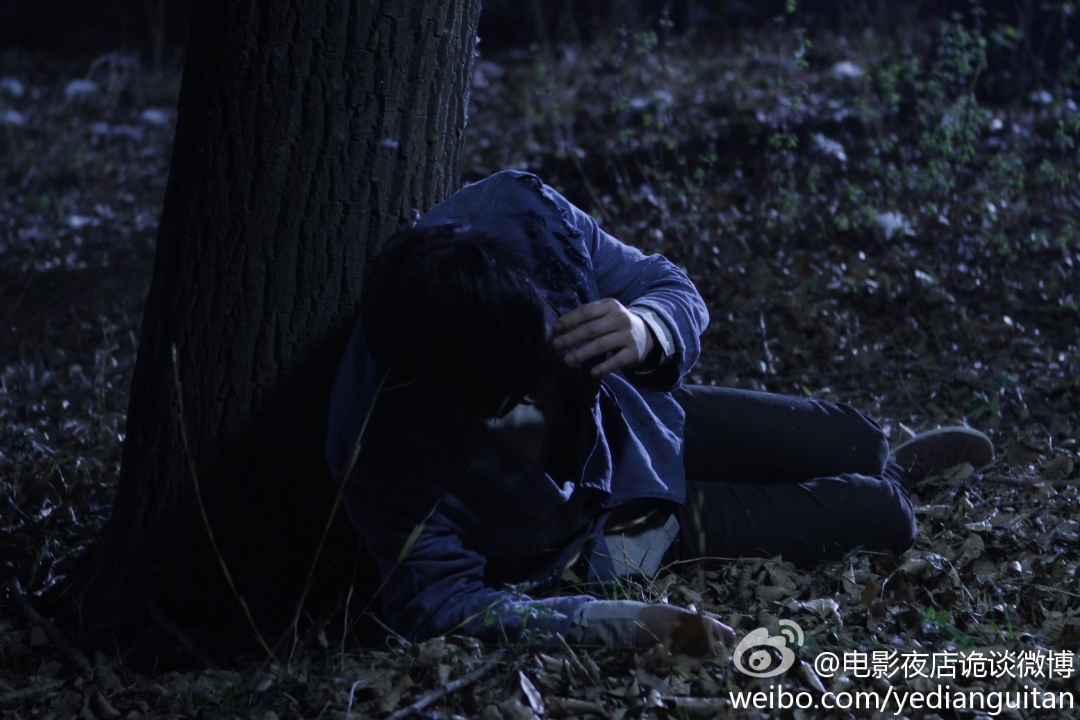 http://www.119127.cn/pics/default/download/386f93dc5d34e92ee3f751a761201b64.jpg