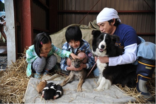 http://www.119127.cn/pics/default/download/388ce4d0175ad9cf80a9c77b702117ba.jpg