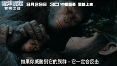 中國(guó)定制版預(yù)告片2