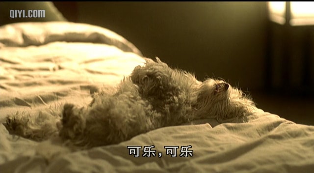 http://www.119127.cn/pics/default/download/3983254610ee0c55fd4f8481377e44c3.jpg