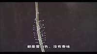 這是“優曇婆羅花”？