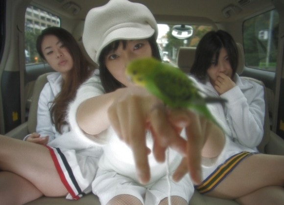 http://www.119127.cn/pics/default/download/3a29e28b8ad12eb8e5d19ec70a9f6d39.jpg