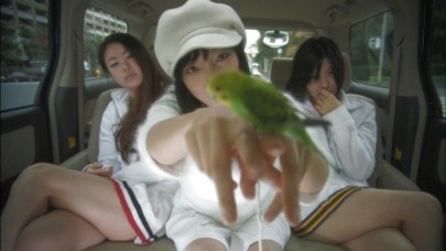 http://www.119127.cn/pics/default/download/3a36088136fc900ab2a906a5e3ea4e9a.jpg