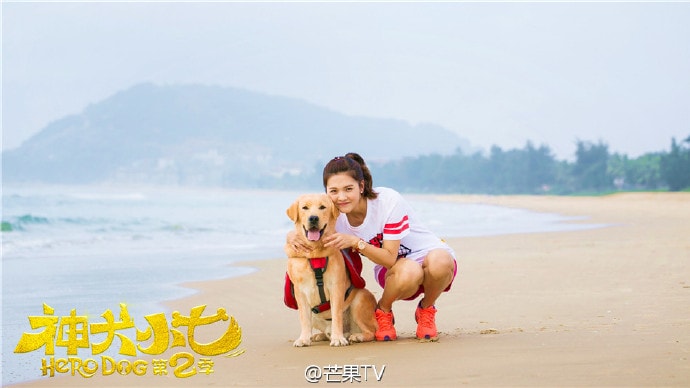 http://www.119127.cn/pics/default/download/3a78405a431f3f83ac1b13f63feac267.jpg