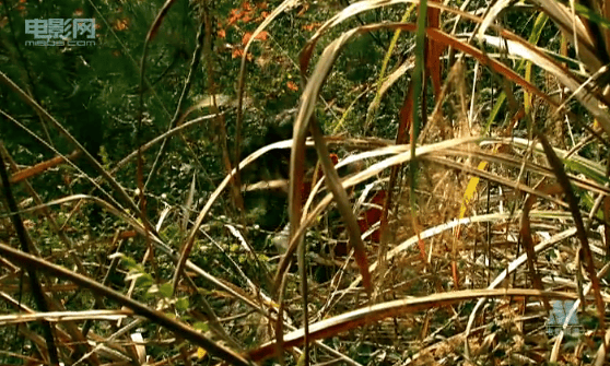 http://www.119127.cn/pics/default/download/3a9a93726610f2c81e22dde649ba435c.jpg