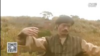 元華劉家輝釋小龍羅莽計(jì)春華PK功夫劇男兒四十打功夫螳螂小子無敵鐵橋三