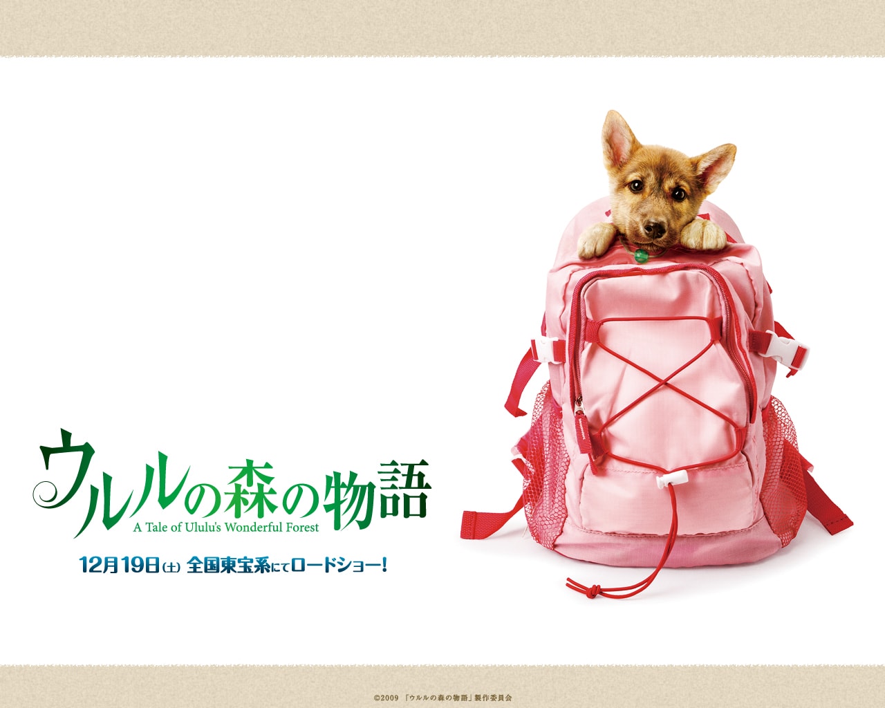 http://www.119127.cn/pics/default/download/3ae0bdeea08df61b9e88505015658269.jpg