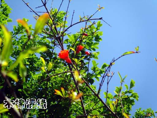 http://www.119127.cn/pics/default/download/3b936208b3557949345eb2adafe82c28.jpg