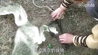 活佛濟(jì)公3第01集陳亮百靈感人愛情