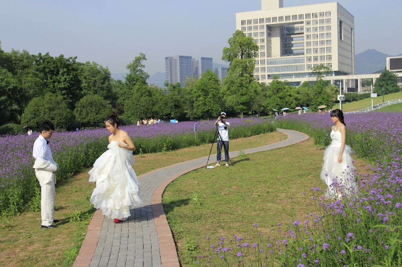 http://www.119127.cn/pics/default/download/3bfd655a427751058b4c77545d73dc97.jpg