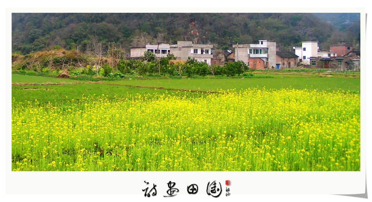 http://www.119127.cn/pics/default/download/3c1538947ebf260e64b8eee9e36a216f.jpg