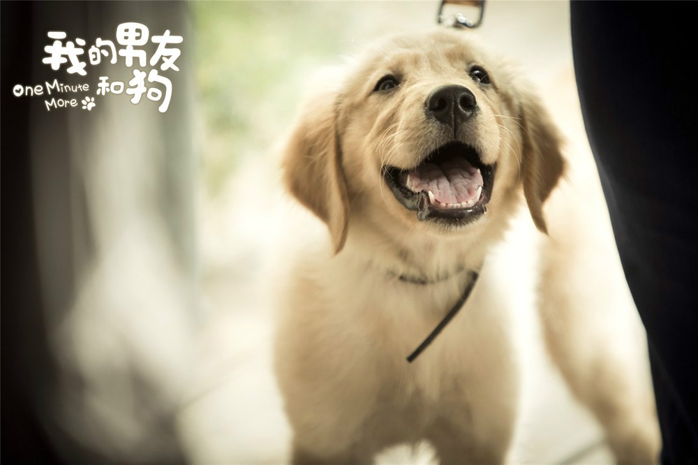 http://www.119127.cn/pics/default/download/3ce1311d81fdee3911a25cc0a694b295.jpg