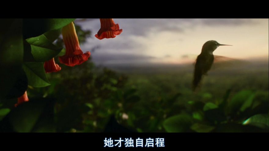 http://www.119127.cn/pics/default/download/3e3ca58f72f6070fa3c4ad81895a8047.jpg