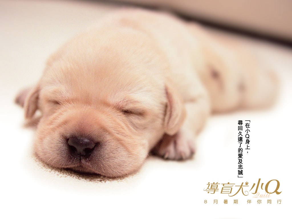 http://www.119127.cn/pics/default/download/3e5a2011cc43e61a104bd85f47980ea5.jpg