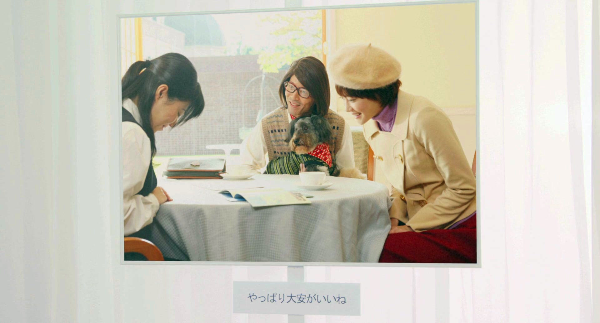 http://www.119127.cn/pics/default/download/43f63dc02655aa5d06febcd5bc579f0a.jpg