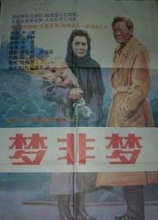 夢(mèng)非夢(mèng)