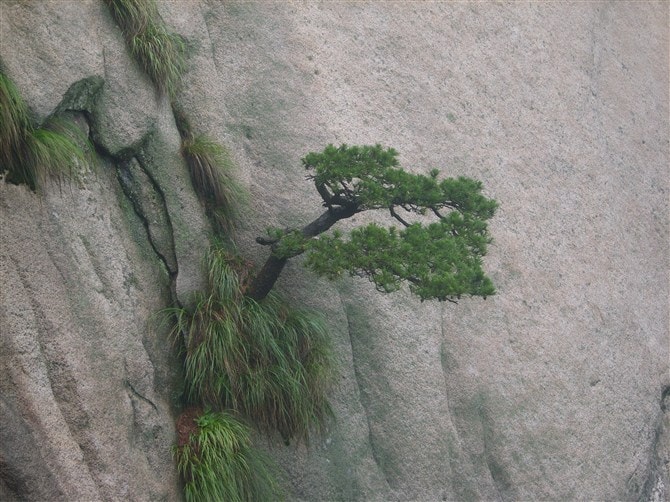 http://www.119127.cn/pics/default/download/4712678bd95565de06ff8d7e8af7ff6e.jpg