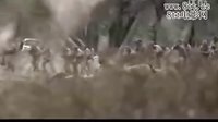 永不磨滅的番號戰斗場面視頻1