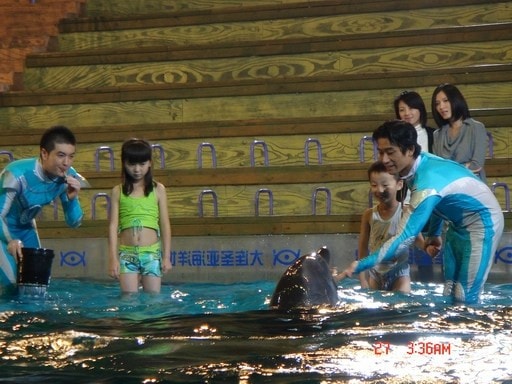 http://www.119127.cn/pics/default/download/4773e7c59ef4557f3c9aa37b301f21ab.jpg