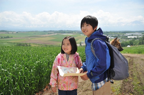 http://www.119127.cn/pics/default/download/48accc3eab05a0b034237a608510fc4d.jpg