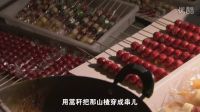 電視劇《寶樂(lè)嬸的煩心事》插曲《糖葫蘆》