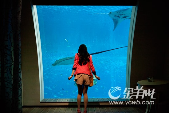 http://www.119127.cn/pics/default/download/49deb6a37fee6d05e9f5201f7a294a1e.jpg