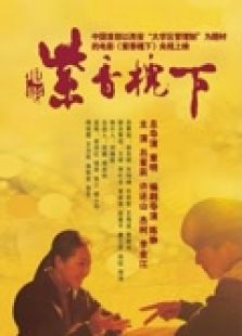 紫香槐下