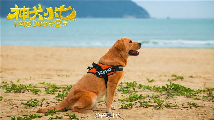 http://www.119127.cn/pics/default/download/4aefb029f1c391563306824dae696982.jpg