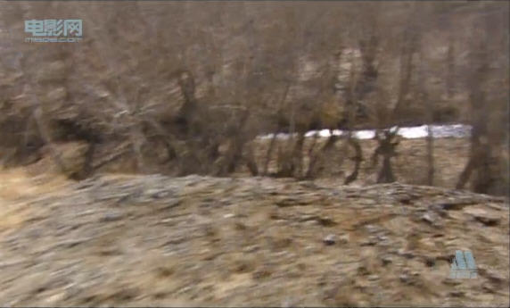 http://www.119127.cn/pics/default/download/4af8b811bc26839963ebfa2a51a78d9f.jpg