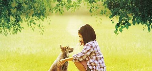 http://www.119127.cn/pics/default/download/4b4dc4661d7596807319ff6cbcc34a1a.jpg