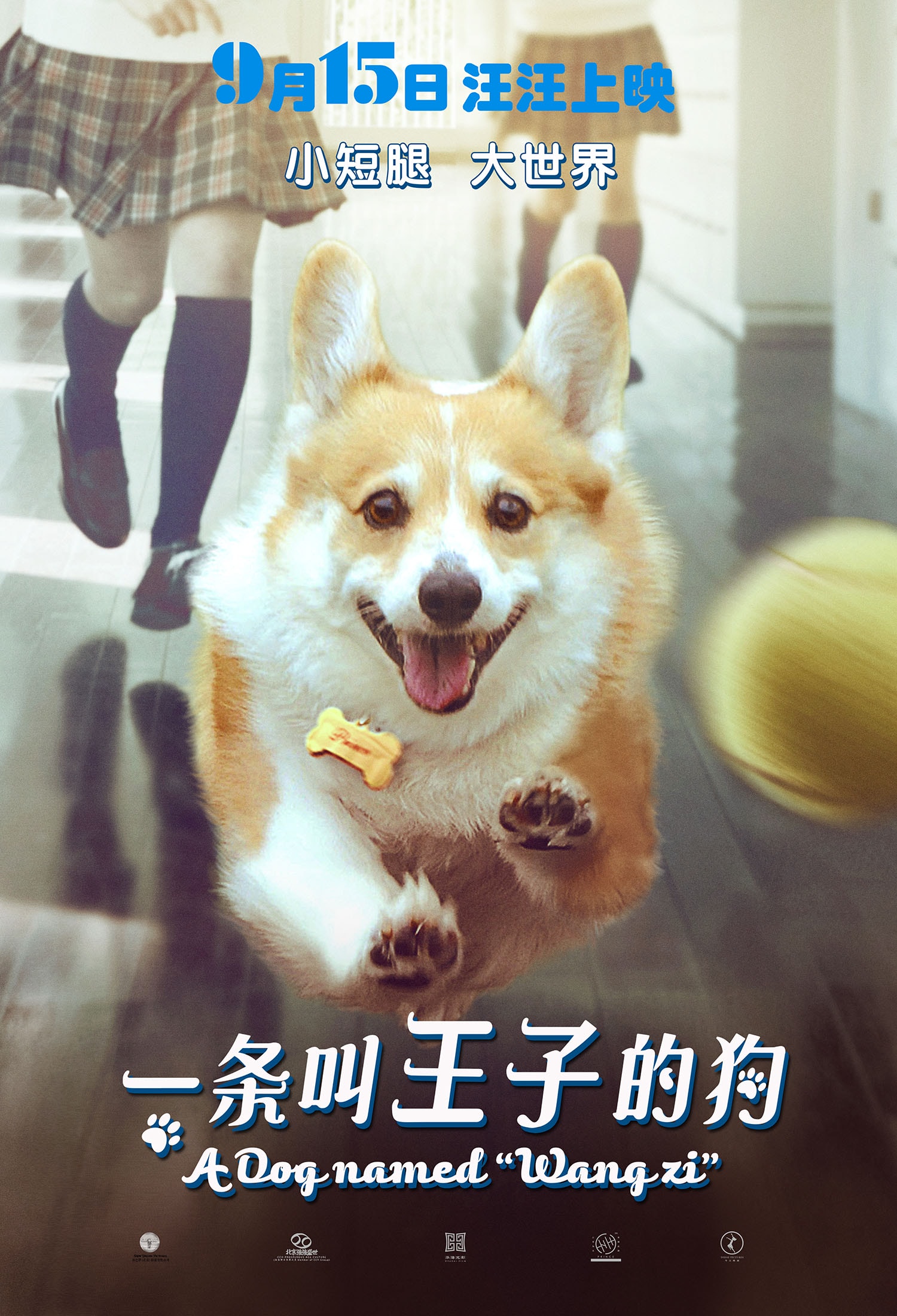 http://www.119127.cn/pics/default/download/4b54dffb132cb6ed26206bf949063448.jpg